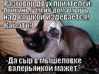 https://lolkot.ru/2012/08/09/izdevatelstvo/