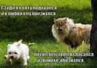 https://lolkot.ru/2011/09/24/izvinite-oboznalsya/