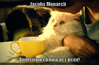 https://lolkot.ru/2011/12/08/jacobs-monarch/