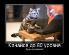 https://lolkot.ru/2011/02/07/kachaysya/