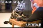 https://lolkot.ru/2011/06/18/kachaysya-2/