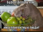 https://lolkot.ru/2011/02/24/kak-intelligentnyye-lyudi-2/