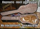 https://lolkot.ru/2013/08/01/kak-kotyatku-ty-pokormish-tak-ona-i-zapoyot/