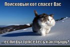 https://lolkot.ru/2011/03/19/kak-mysh/