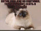https://lolkot.ru/2012/09/02/kak-na-kartinke/