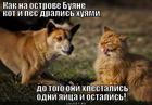 https://lolkot.ru/2012/10/24/kak-na-ostrove-buyane/