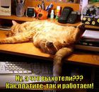 https://lolkot.ru/2012/06/05/kak-platite-tak-i-rabotayem/
