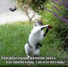 https://lolkot.ru/2012/07/13/kak-priletish/