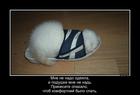 https://lolkot.ru/2016/06/29/kak-smorilo-tak-i-usnulo/