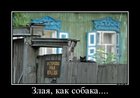 https://lolkot.ru/2012/04/11/kak-sobaka/