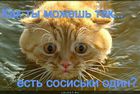 https://lolkot.ru/2012/08/13/kak-tak/