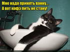 https://lolkot.ru/2017/01/17/kakava-s-chayem-s/