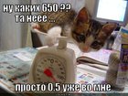 https://lolkot.ru/2012/04/27/kakih-650/