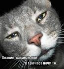 https://lolkot.ru/2011/04/09/kakiye-myshi/