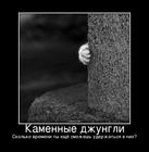 https://lolkot.ru/2010/06/15/kamennyye-dzhungli/