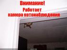 https://lolkot.ru/2010/10/17/kamera-kotonablyudeniya/