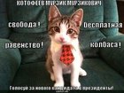 https://lolkot.ru/2011/01/29/kandidat-v-prezidenty/