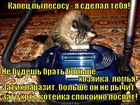 https://lolkot.ru/2012/01/15/kapets-pylesosu/