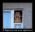https://lolkot.ru/2011/11/15/karlson-ne-priletel/