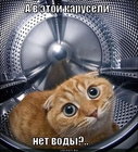 https://lolkot.ru/2011/09/17/karusel/