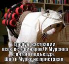 https://lolkot.ru/2013/10/03/kastrat/