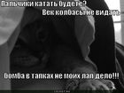 https://lolkot.ru/2011/11/01/katat-budete/