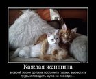 https://lolkot.ru/2012/01/12/kazhdaya-zhenschina/