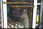 https://lolkot.ru/2011/04/20/kazhdomu-po-yaytsu/