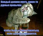 https://lolkot.ru/2013/04/08/kazhdyy-dolzhen-imet-i-podrugu-i-druga/