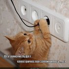 https://lolkot.ru/2011/05/06/kina-ne-budet/