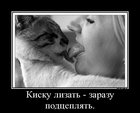 https://lolkot.ru/2012/02/17/kisku-lizat/