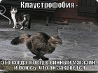 https://lolkot.ru/2012/06/28/klaustrofobiya-2/
