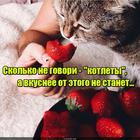 https://lolkot.ru/2016/04/23/klubnichnyye-kotlety/