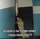 https://lolkot.ru/2012/12/29/klyuch/