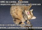 https://lolkot.ru/2012/04/29/kms-po-sambo/
