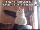 https://lolkot.ru/2015/04/25/knopachka/