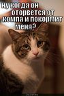 https://lolkot.ru/2011/01/07/kogda-on-otorvyotsya/