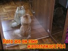 https://lolkot.ru/2011/06/05/kogo-on-napominayet/