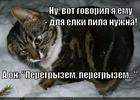 https://lolkot.ru/2014/11/29/kol-yelku-my-ne-spilim-il-snesem-togda-hotya-b-peregryzem/