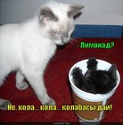 https://lolkot.ru/2011/05/09/kolabasy-day/