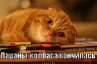 https://lolkot.ru/2012/01/03/kolbasa-konchilas/