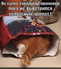 https://lolkot.ru/2011/02/21/kolbasnyy-aromat/