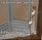 https://lolkot.ru/2011/04/15/kolbasu-yedyat/