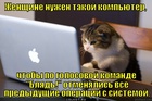 https://lolkot.ru/2012/07/11/komanda-blyad/