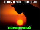 https://lolkot.ru/2011/03/11/komok-s-sherstyu/