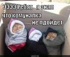 https://lolkot.ru/2010/04/08/komunalka/