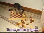https://lolkot.ru/2011/06/18/konem-hodi/