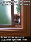 https://lolkot.ru/2013/03/07/konets-s-nachalom/