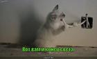 https://lolkot.ru/2011/06/10/konets-sveta2/