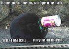 https://lolkot.ru/2012/06/07/kopish-na-brillianty/